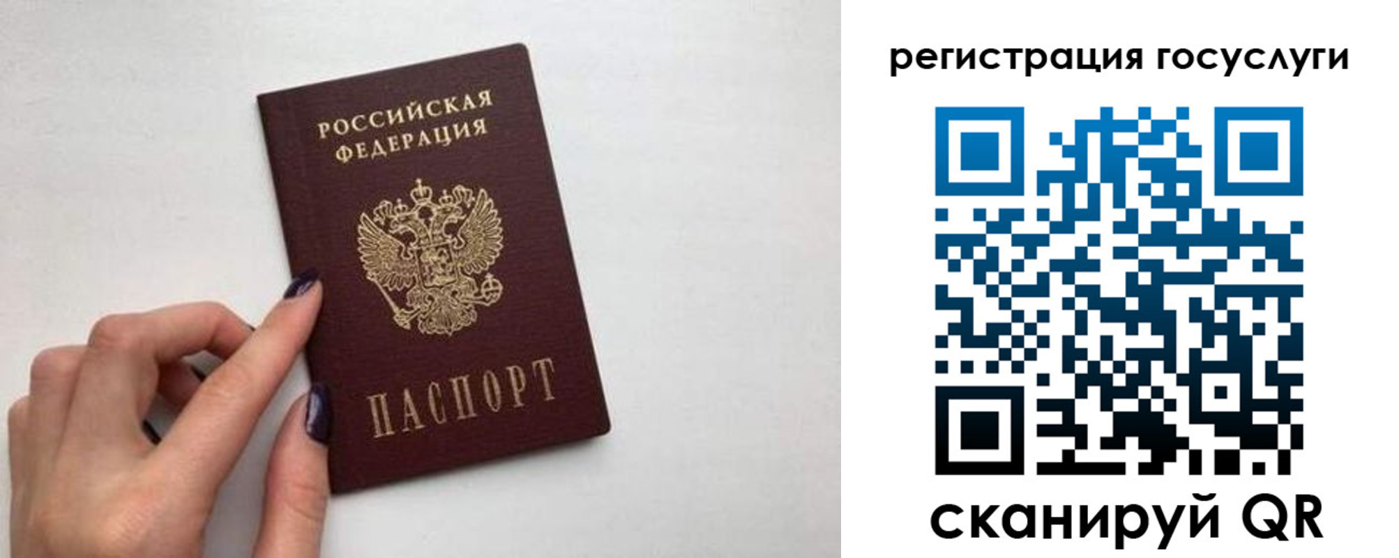 временная регистрация гарантия в Новомосковске